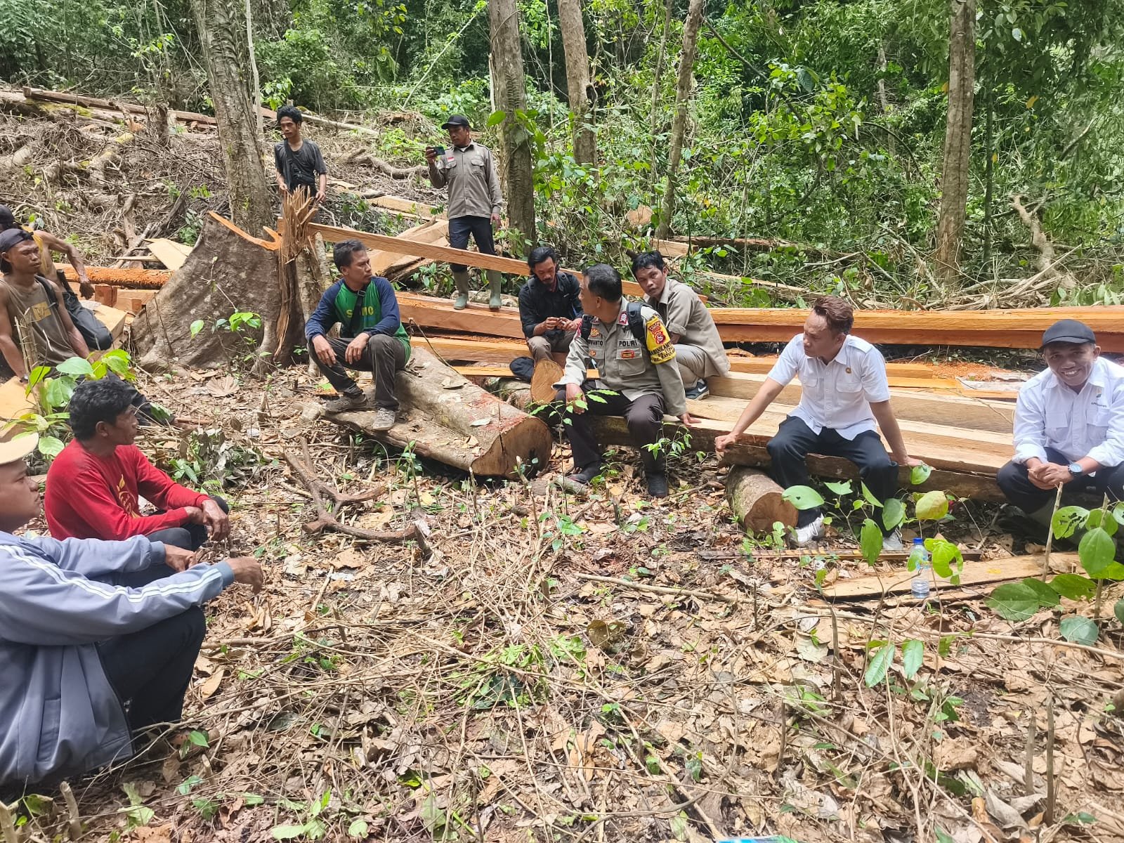 Disangka Bangun JUT, ternyata Penebangan Liar