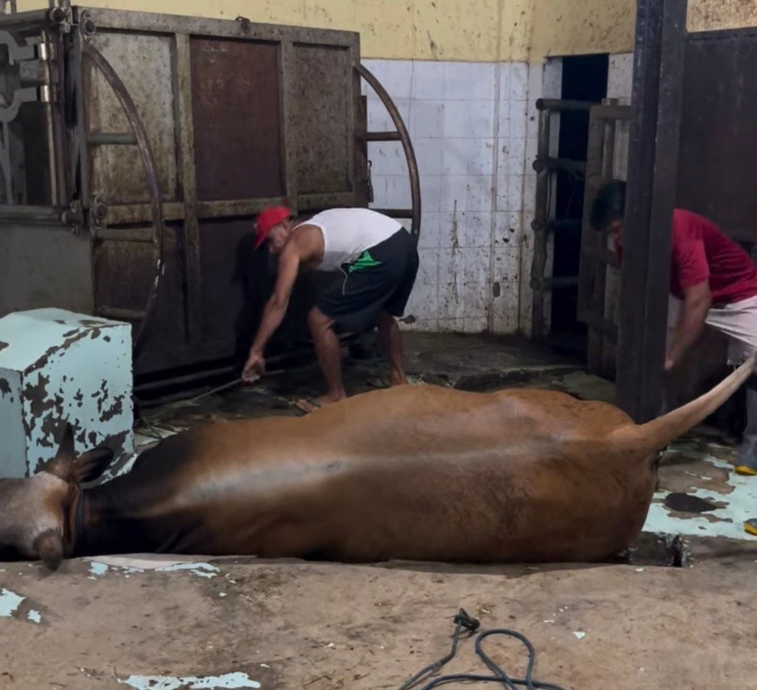 Harga Daging Sapi Mandek, Pedagang Mengeluh