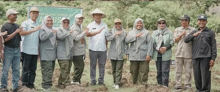 KSB Kembangkan Agribisnis Sapi Terintegrasi