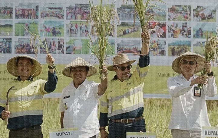 Maluk Jadi Laboratorium Pertanian Organik KSB