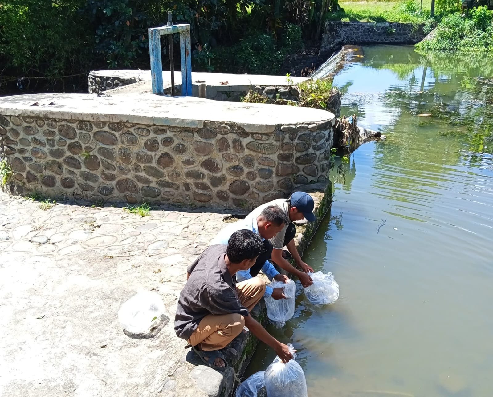 DKP Sumbawa Tebar Benih Ikan di 13 Kecamatan