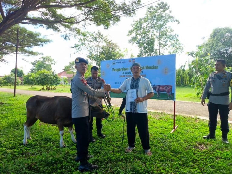 Brimob Sumbawa Salurkan Empat Sapi Kurban