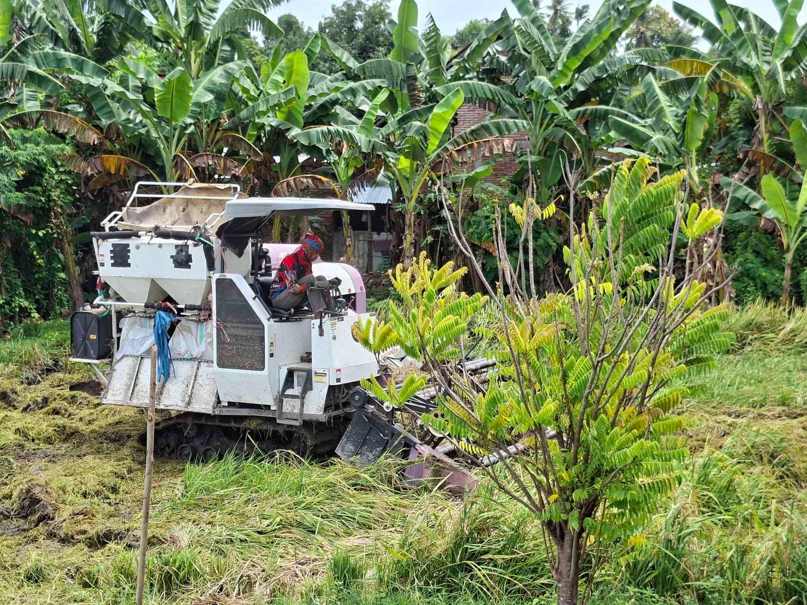 Indikasi Penyimpangan Penyaluran Alsintan Belum Ditemukan