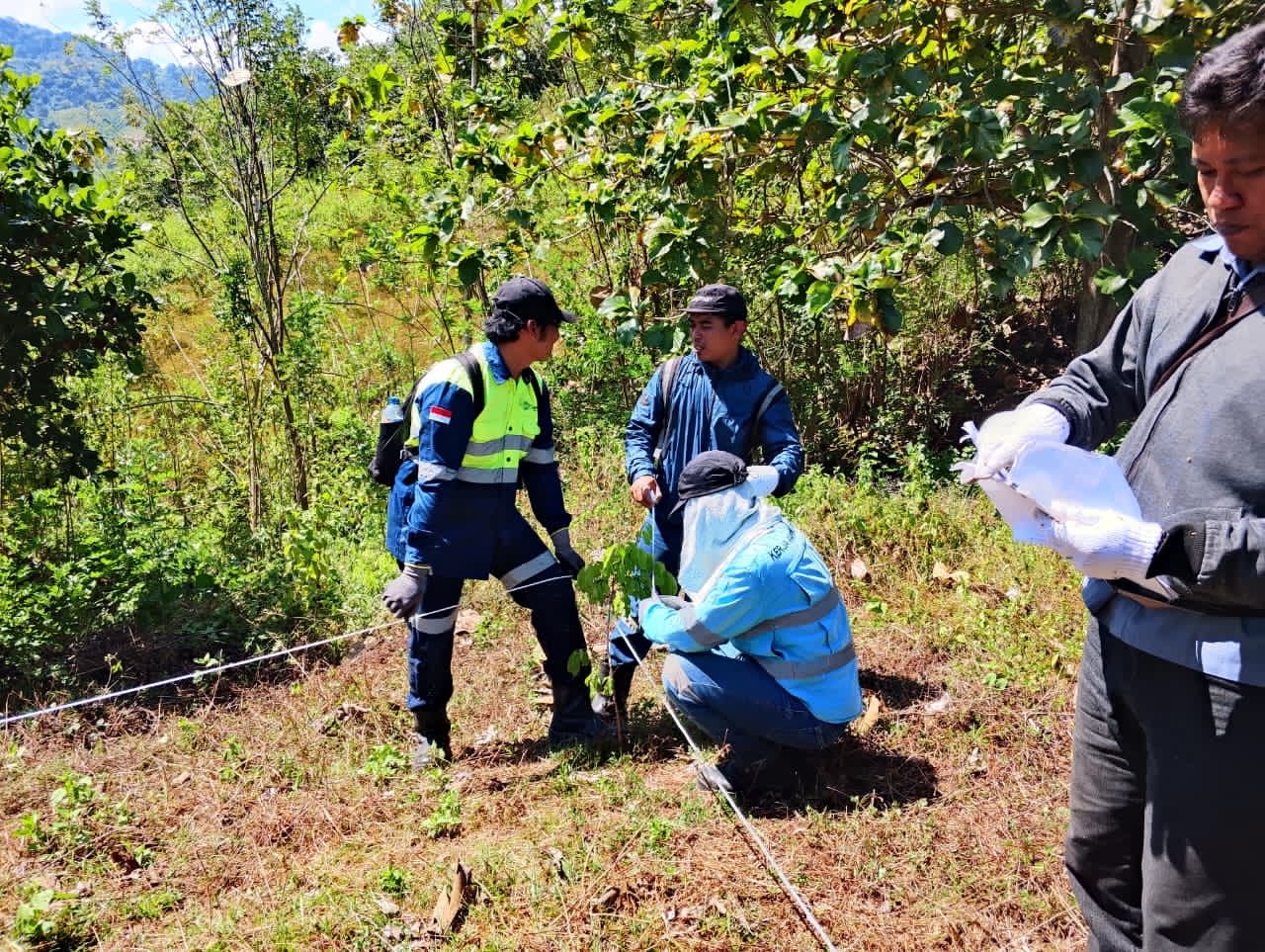 Rehabilitasi Lahan PT AMNT di Lunyuk Berjalan Baik