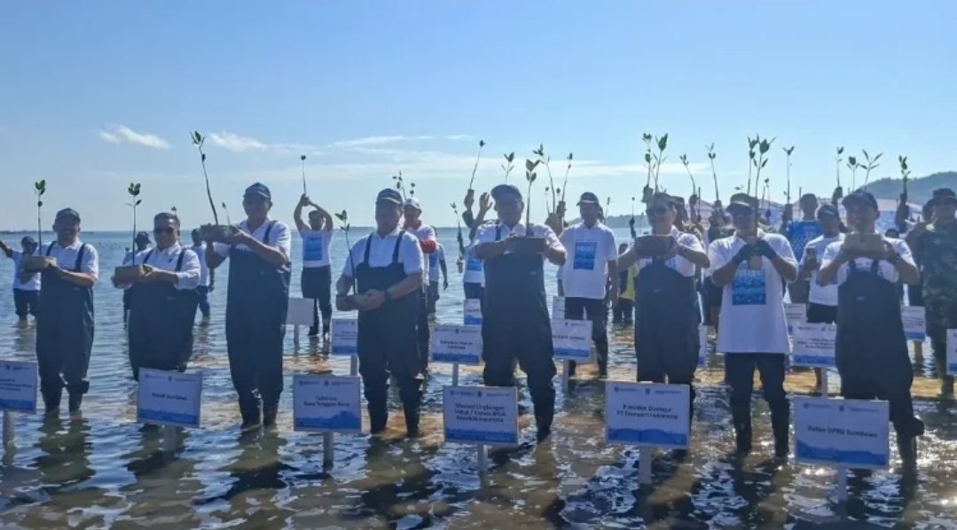 Galakkan Tobat Ekologis, Menteri LH Tanam Mangrove di Alas
