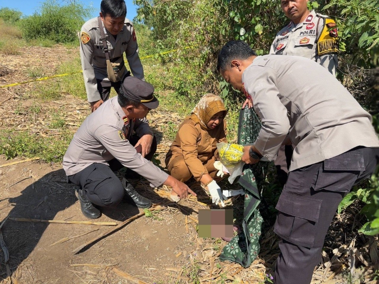 Mayat Bayi Ditemukan di Lahan Jagung 