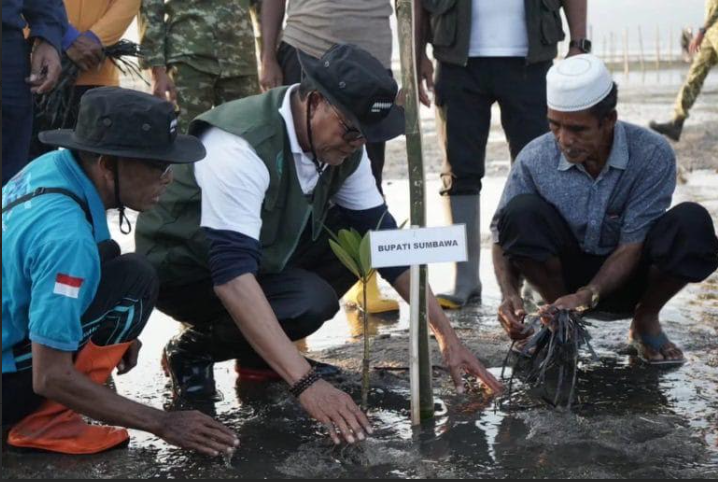  Mangrove Limung jadi Benteng Pesisir Sumbawa