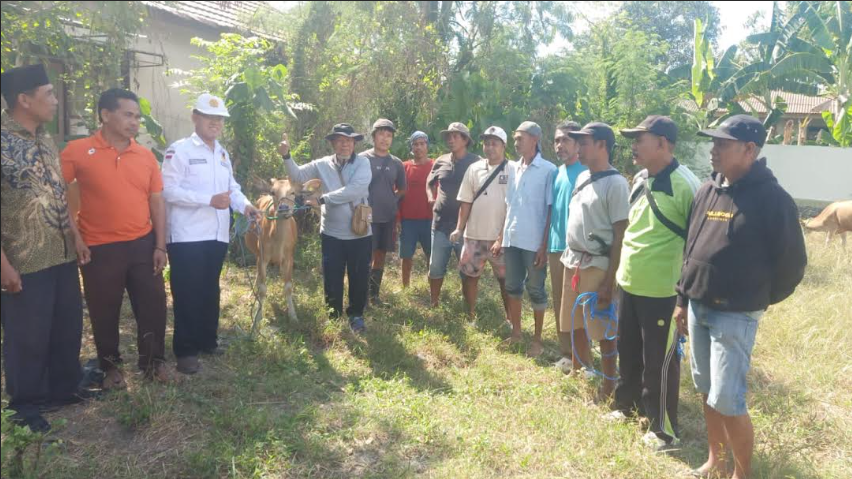  Pengadaan Bibit Ternak Ditarget Rampung Tepat Waktu