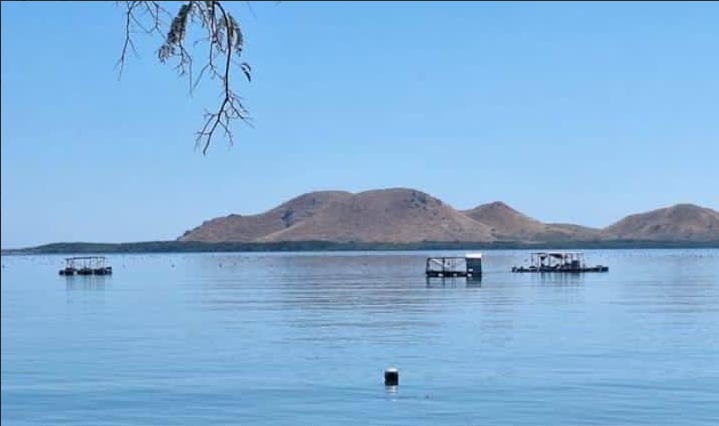  DKP Sumbawa Cek Perizinan Budidaya Mutiara Batu Guring