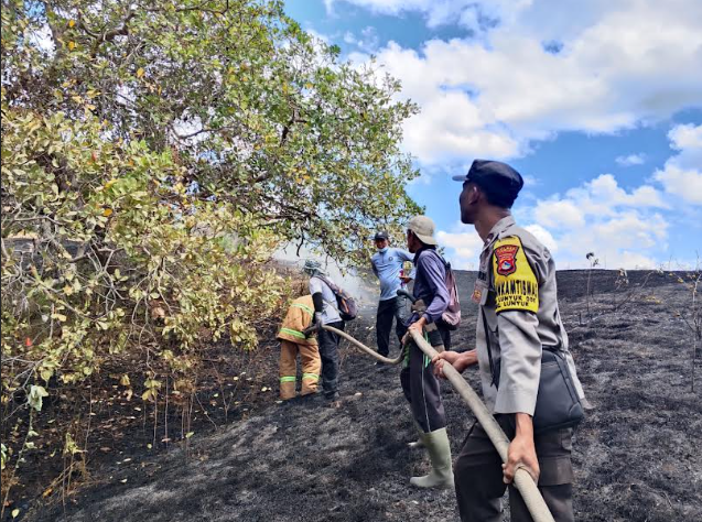 Diduga Karena Puntung Rokok, Lahan Warga Lunyuk Terbakar 