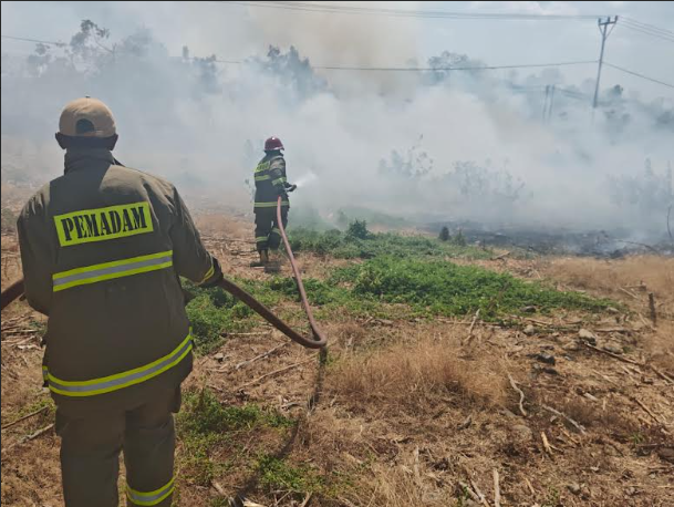  Lahan Belakang Puskesmas Moyo Hulu Terbakar
